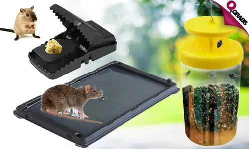 Rodent & Fly Traps!
